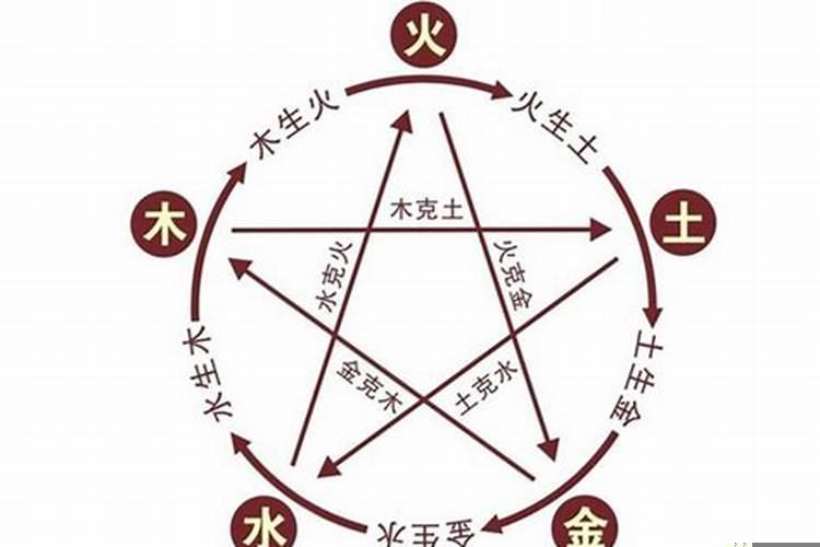 属马五行属什么