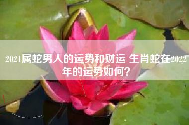 属蛇人2021年12月财运如何