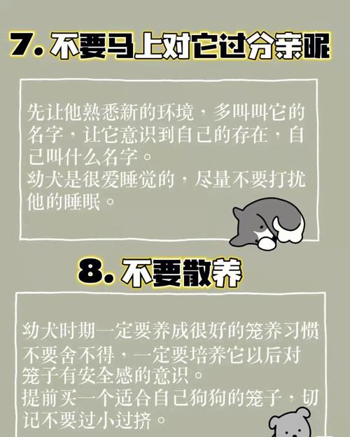 养狗的风水禁忌