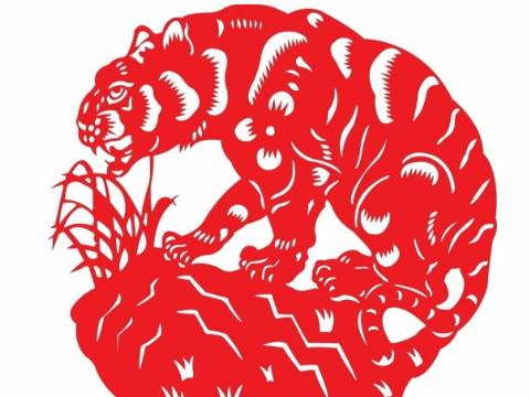 属虎在什么情况下会走回头路