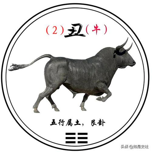 牛命人一生中最大的坎是什么
