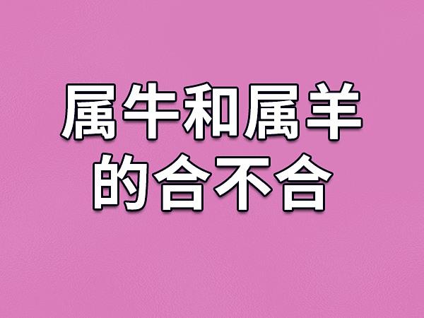 属牛和属羊的人相冲吗