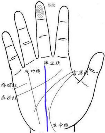 事业线图解女右手