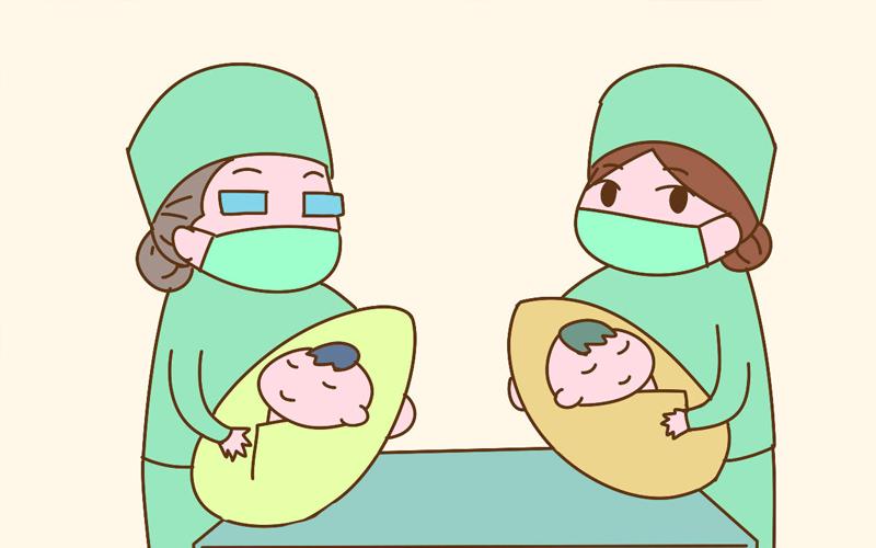 会生双胞胎的孕妇八字解析
