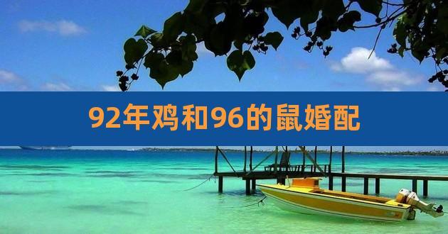 属鸡的和属鼠的为上等婚么