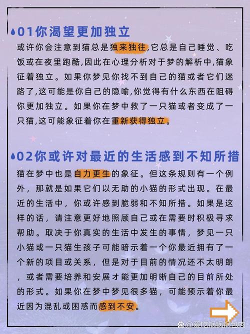 男人梦见好多只猫预示着什么