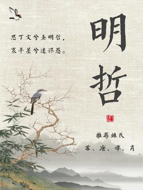 带土的虎男孩名字有浩然