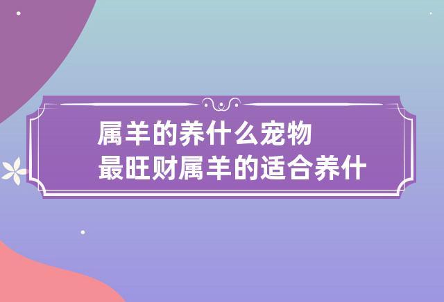 属羊养什么宠物旺财,属羊人适合养的旺财宠物