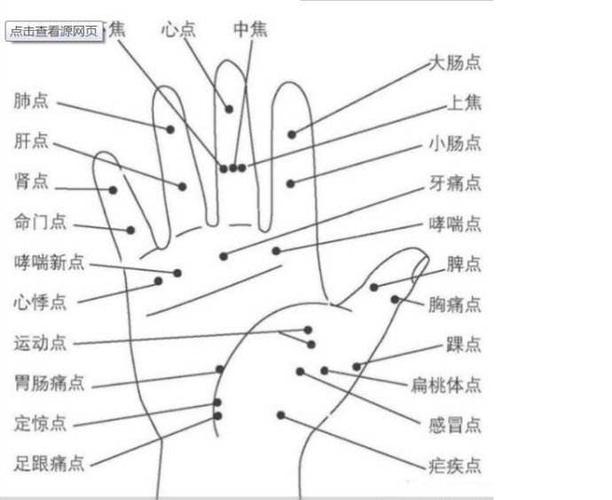 手指长短自测命运密码