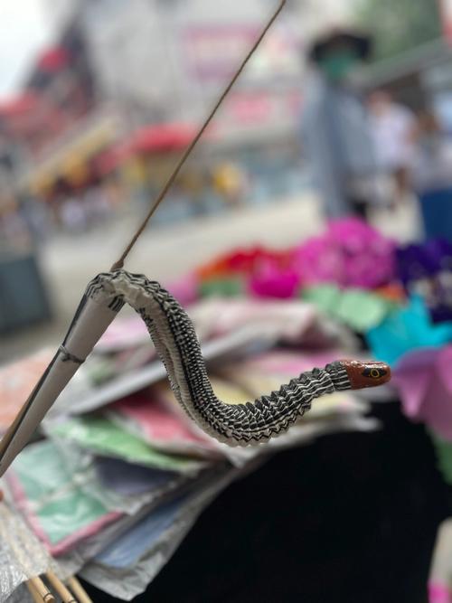 梦见拉花蛇是什么意思