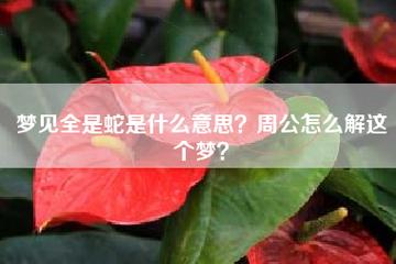 梦见和蛇说话是什么意思