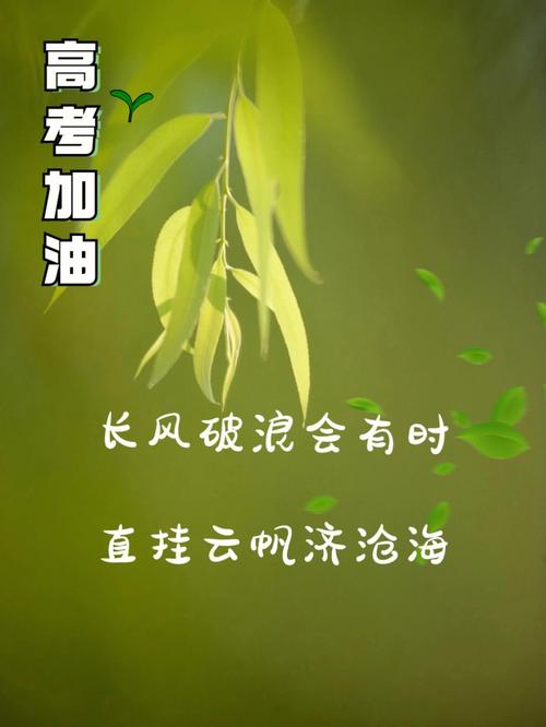 属狗的人高考后会有什么打算?
