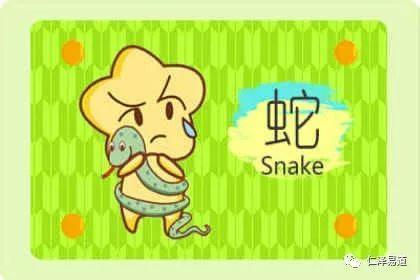 唯唯诺诺是什么生肖