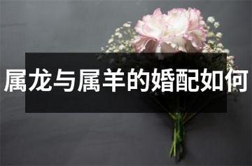 属羊的女人嫁给属龙的怎么样