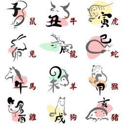 观察能力最强的生肖女