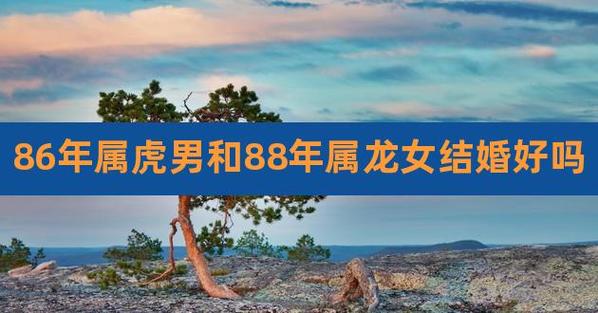 86属虎男和88属龙女相配婚姻状况如何好吗