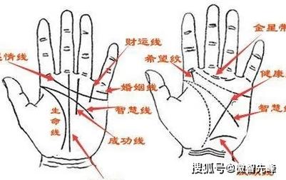 生命线向下人字分叉