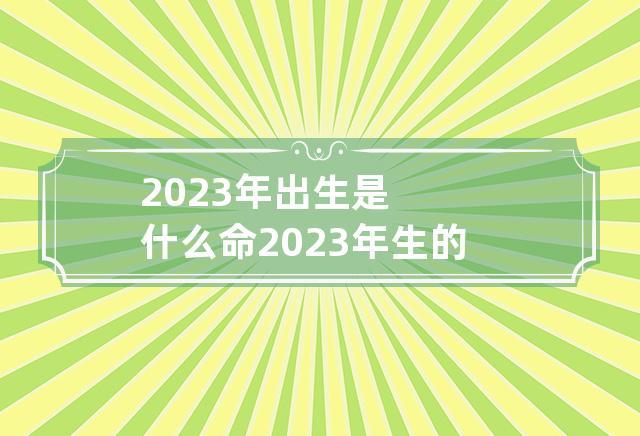 2023年出生的孩子是什么命缺什么