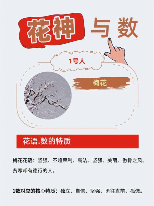 双生火焰的生命灵数一样吗