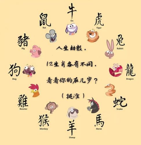 十二生肖劫数在几岁?