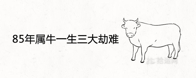 1985属牛一生三劫