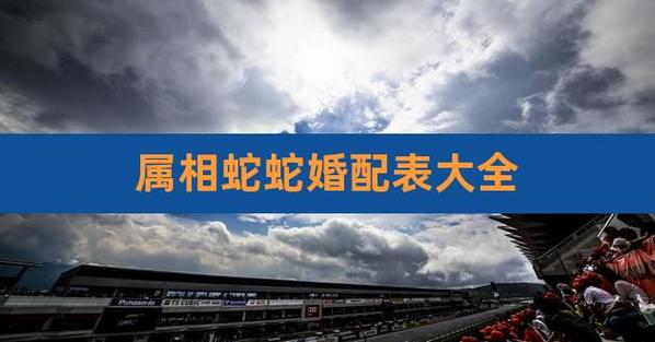 属蛇和什么属相相配