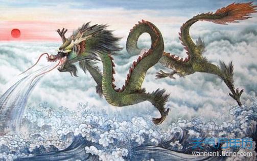 属龙为什么面对爱情摇摆不定