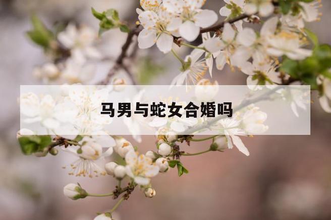 男蛇女马结婚会离婚吗？属马的午时出生好吗？
