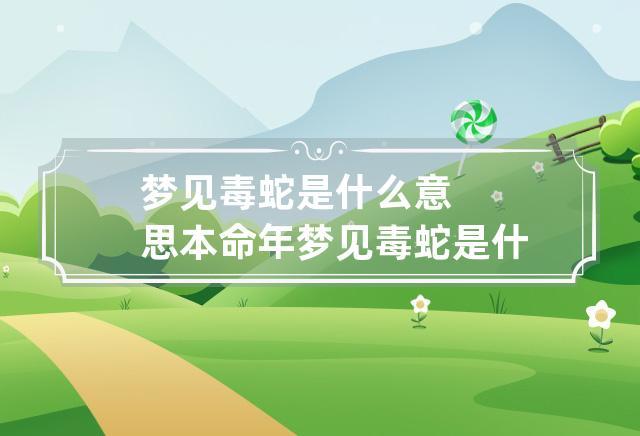 梦见小毒蛇周公解梦,梦见小毒蛇是什么意思?