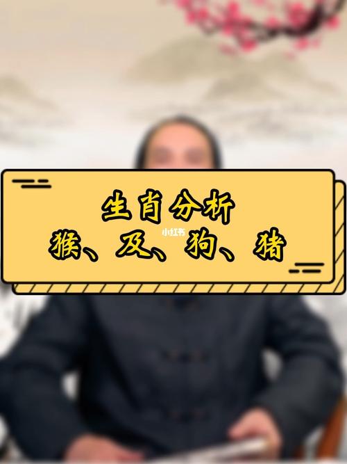 生肖猴最喜欢和什么类型的人相处