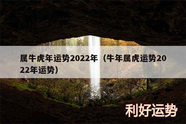 属虎人牛年运势及运程