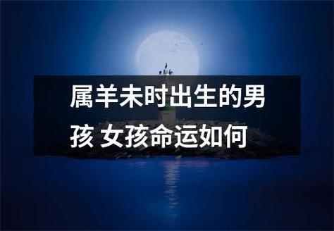属羊未时出生的男孩