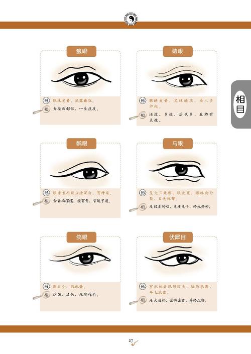 二十种眼形大全图解
