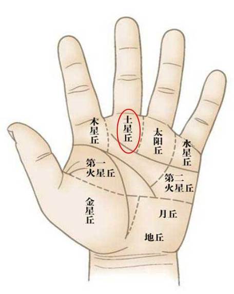 土星丘有斜纹代表什么