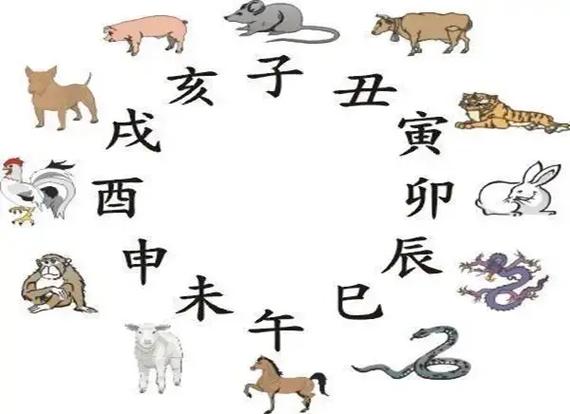 地支五行