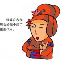 为了逃避相亲不择手段的生肖们