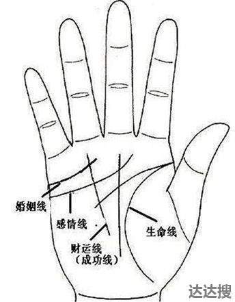 爱情线怎么看几段感情