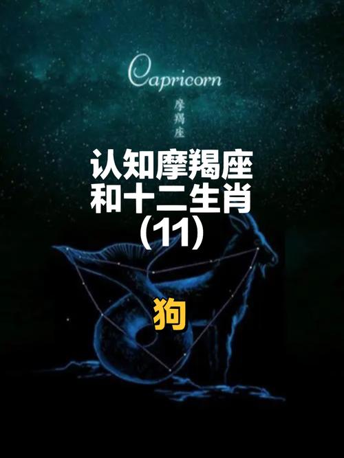 属狗人对另一半的期望有多高