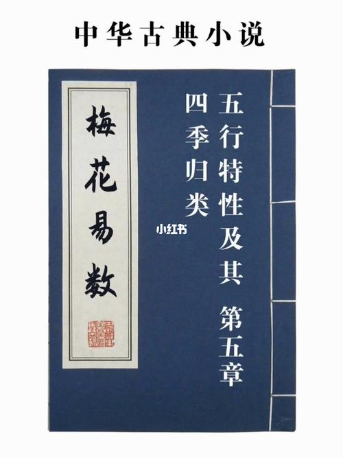 徐州有教梅花易数的吗