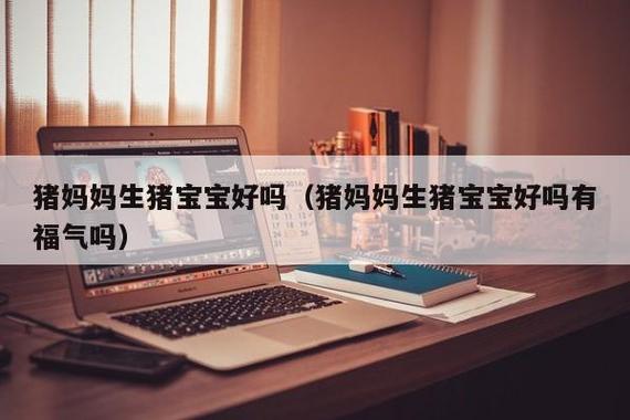 宝宝和妈妈都是属猪的好不好