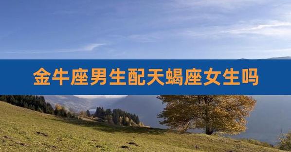 金牛座男生和天蝎座可能在一起吗
