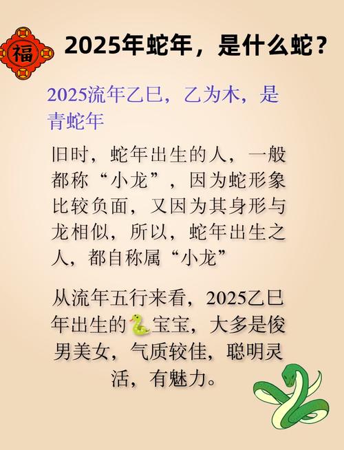 生肖蛇与生肖猪在一起对谁不利