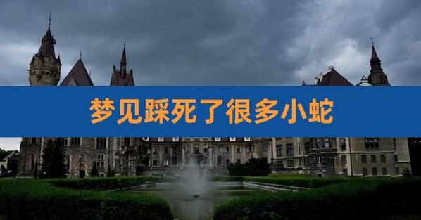 梦见踩死小蛇