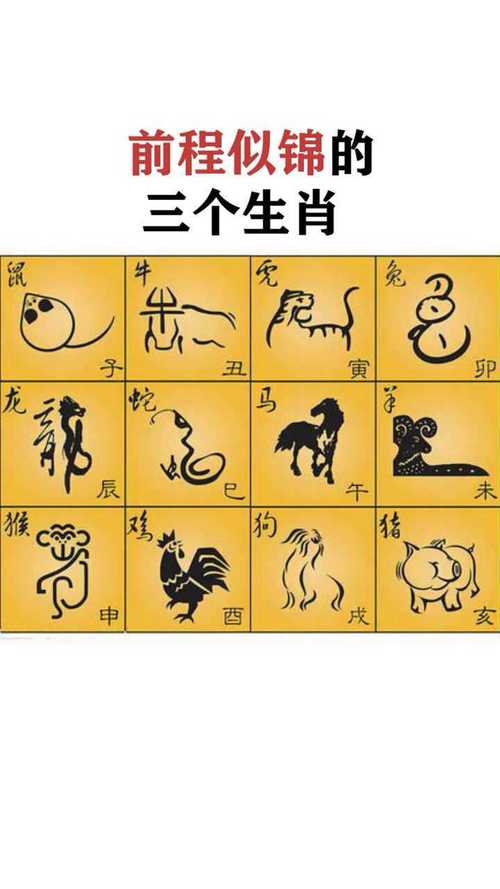 懂得把握机遇的生肖