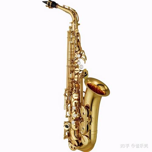 好听的乐器公司名字