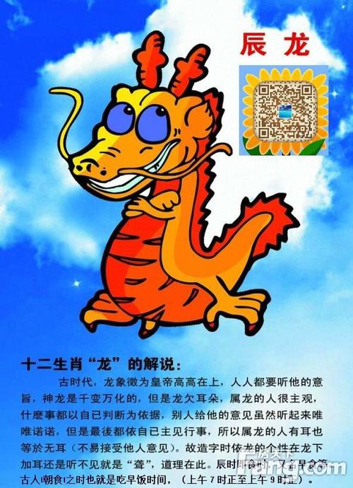 属龙男不爱你也会为你做的事