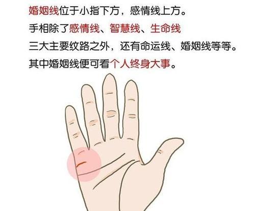婚姻线感情线交织一起