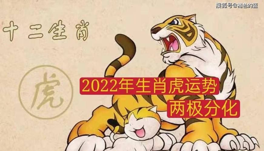 2023年考试运最好的生肖