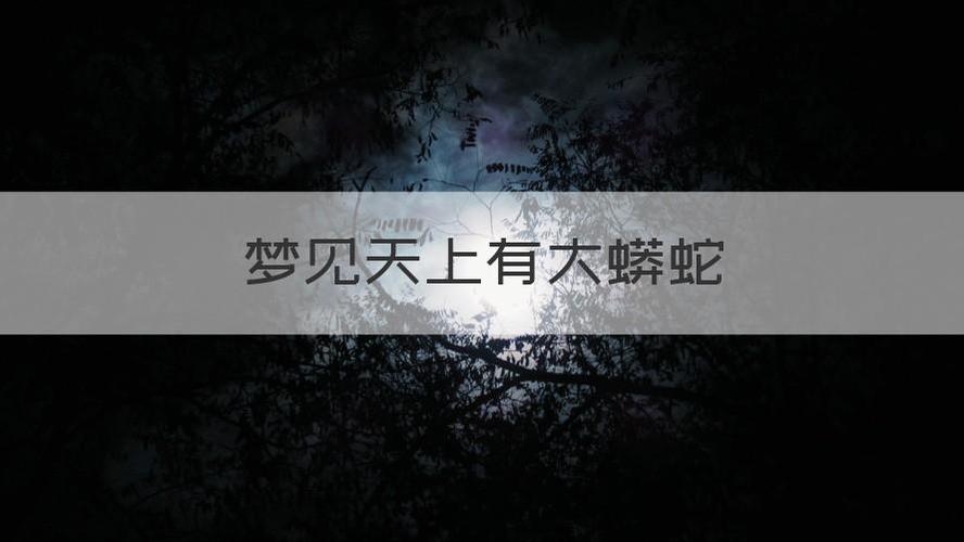 梦见蟒蛇在天上飞