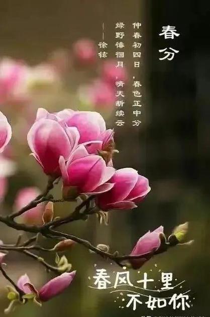 2021年春分出生的人命怎么样